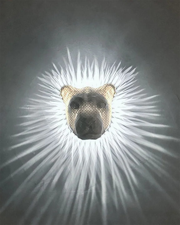 3D Animal Wall Light Owl Eagle Lion Battery Powered