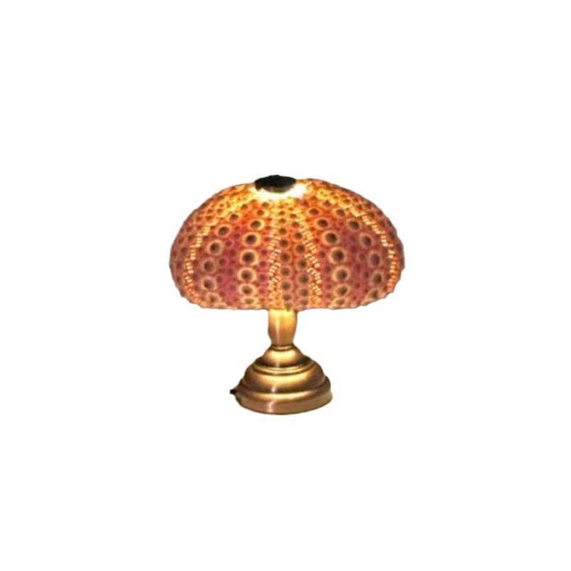 DIY Sea Urchin Night Light Kit Mini Table Lamp Set of 2