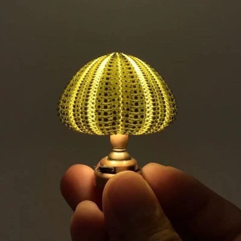 DIY Sea Urchin Night Light Kit Mini Table Lamp Set of 2